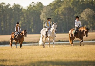 Séjour en famille irlandaise avec chevaux : partagez votre passion !