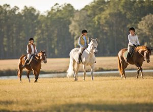 Séjour en famille irlandaise avec chevaux : partagez votre passion !