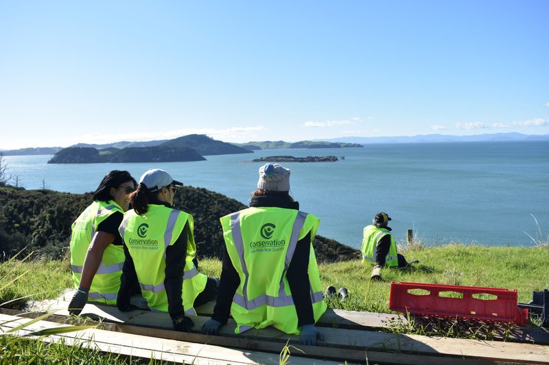 ecovolontariat en nouvelle zélande à waitawa park