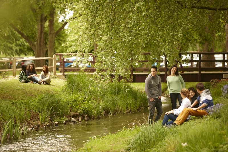 cours anglais Chichester College : des hectares de verdure en plus
