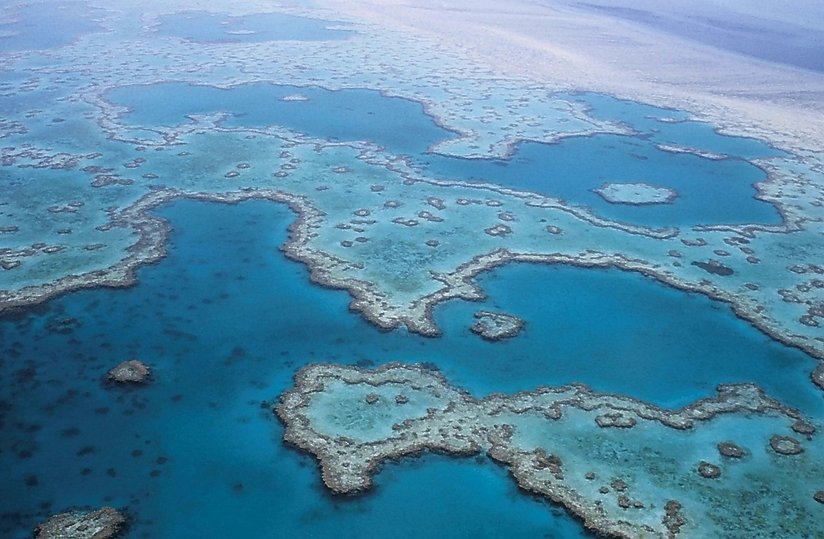 Conservation Grande Barrière de Corail : plongez en eaux turquoises