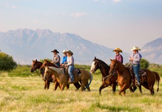 Un travail en ranch en Australie grâce au Visa Vacances Travail