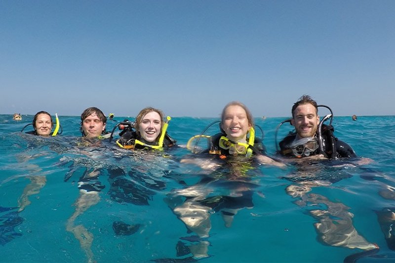 Conservation Grande Barrière Corail : plongez pour préserver le corail