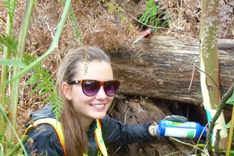 éco-volontariat | chantiers nature ou comment pratiquer une langue de façon naturelle