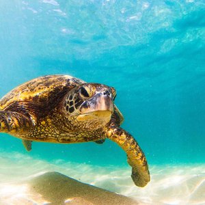 eco-volontariat : chantiers nature au Costa Rica