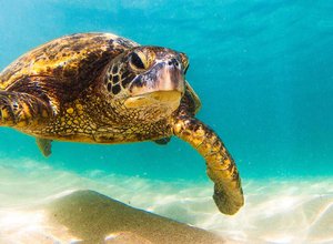 eco-volontariat : chantiers nature au Costa Rica