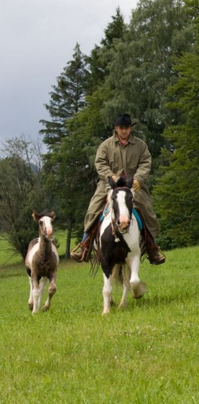 Séjour en ranch pour apprendre l'anglais