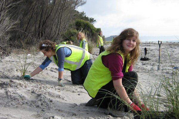 chantier nature en nouvelle-zelande à Matakana Island