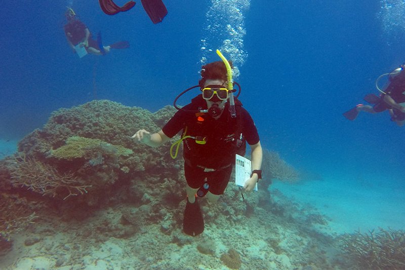 Conservation Grande Barrière Corail : I made it !