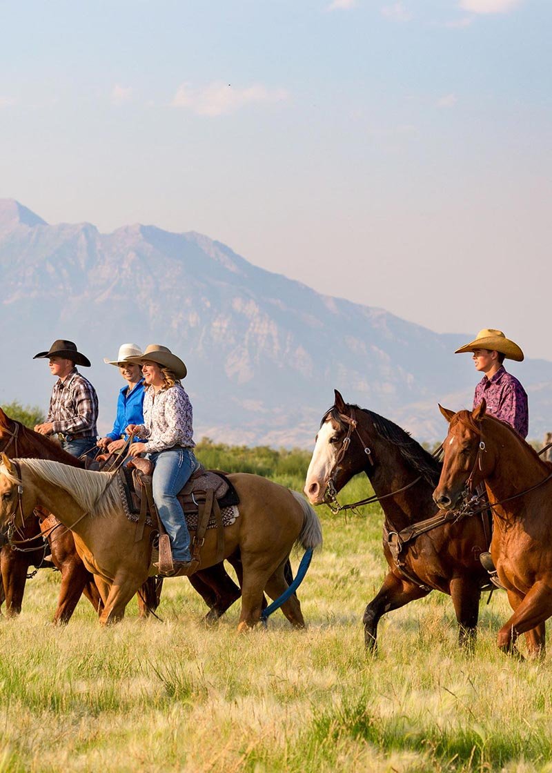 Un travail en ranch en Australie grâce au Visa Vacances Travail