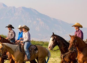 Un séjour en ranch en Australie : l'aventure conjuguée en anglais