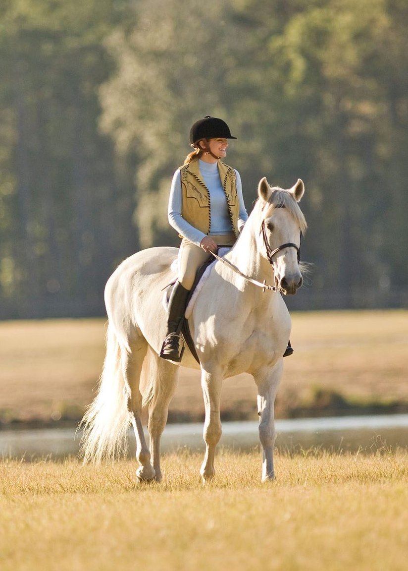 Séjour en famille irlandaise avec chevaux : partagez votre passion !