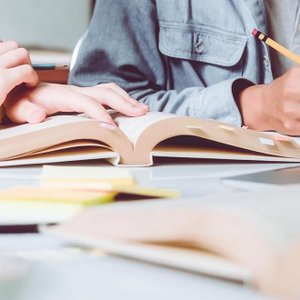 immersion neerlandais pays-bas : focus sur vos objectifs