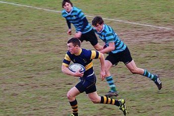 stage rugby Irlande : en pleine action