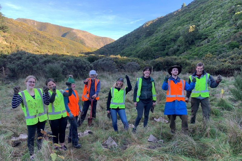 chantier nature en Nouvelle-Zelande près de Wellington